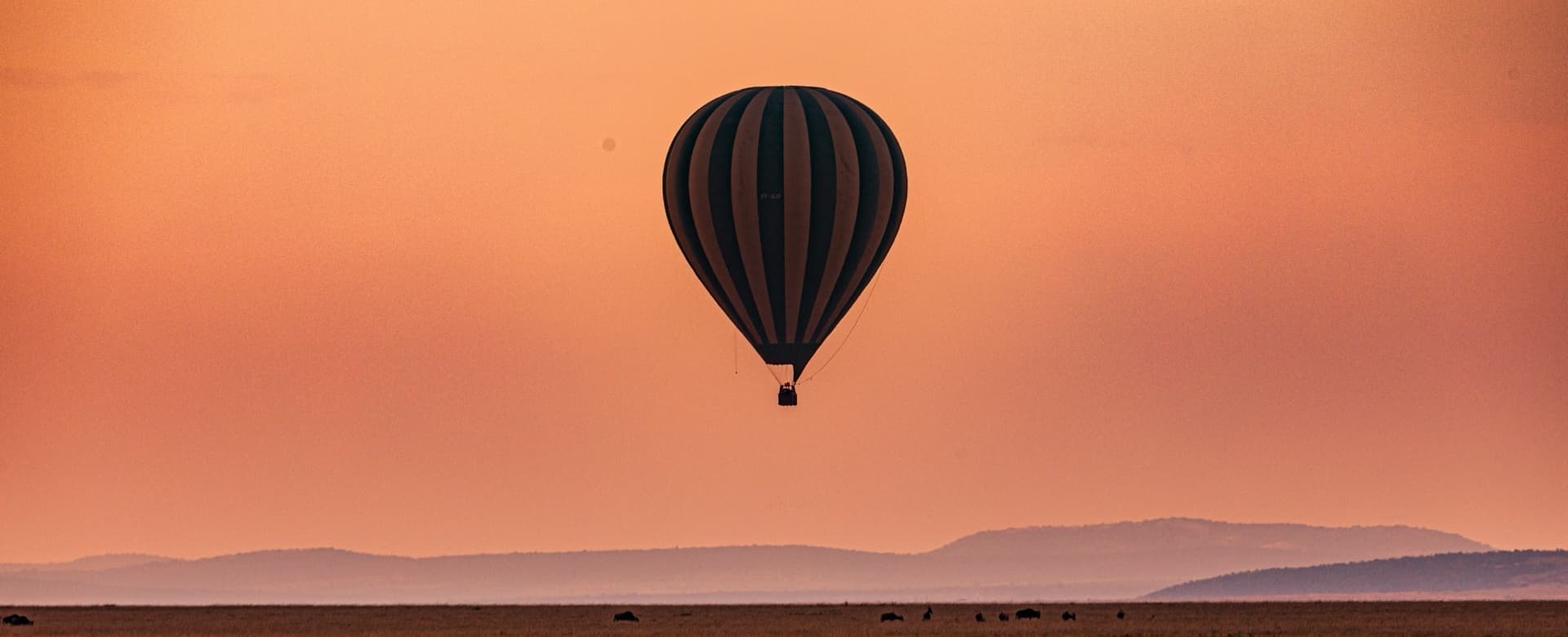 Safari destination: Kenya