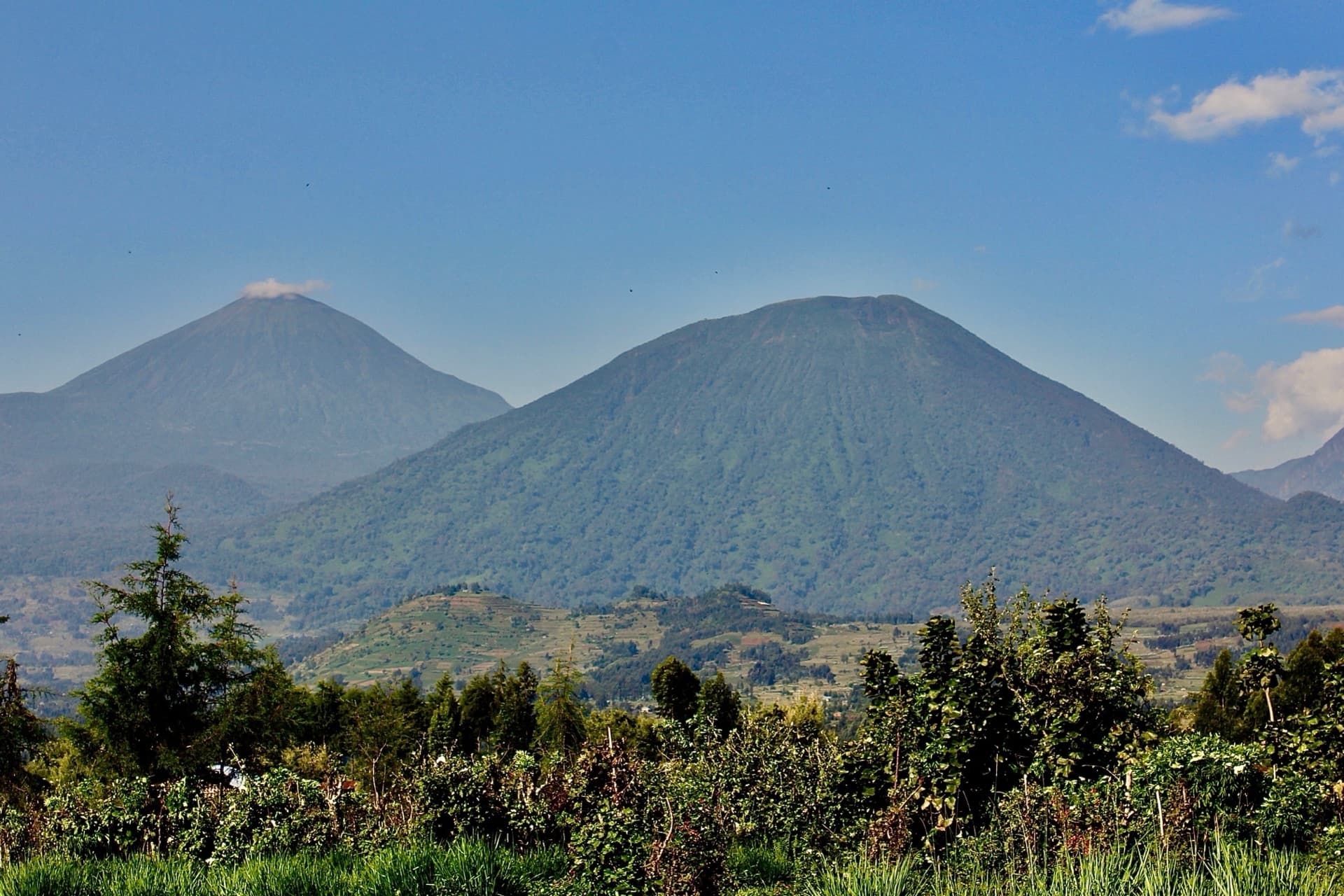 Safari destination: Rwanda