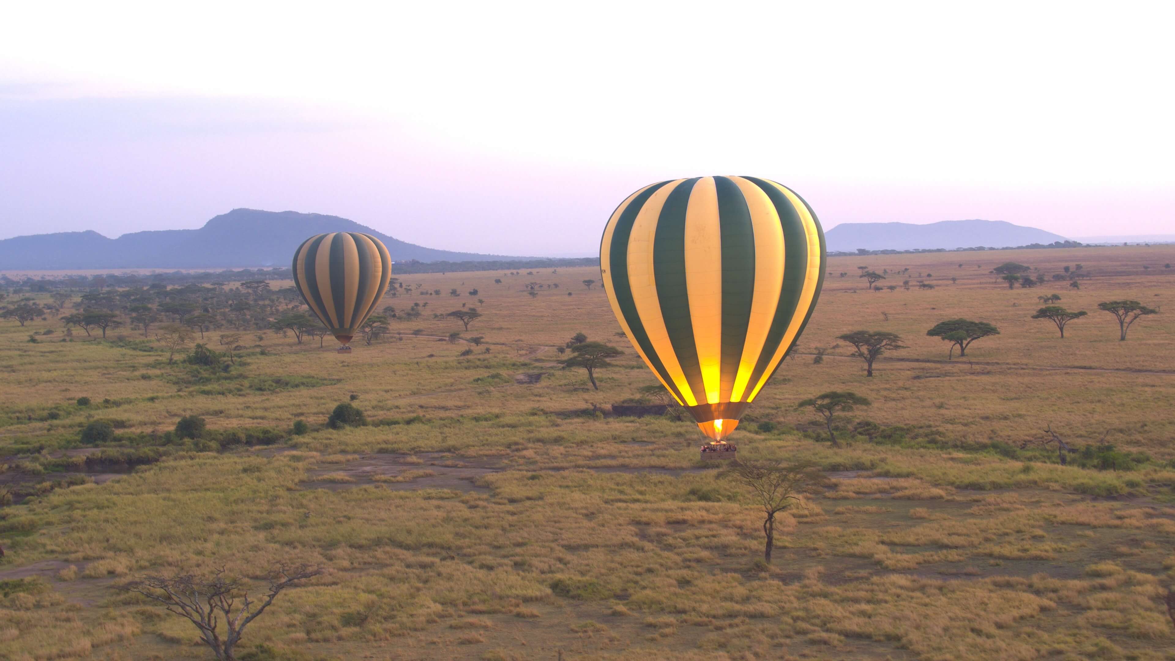 Safari destination: Tanzania