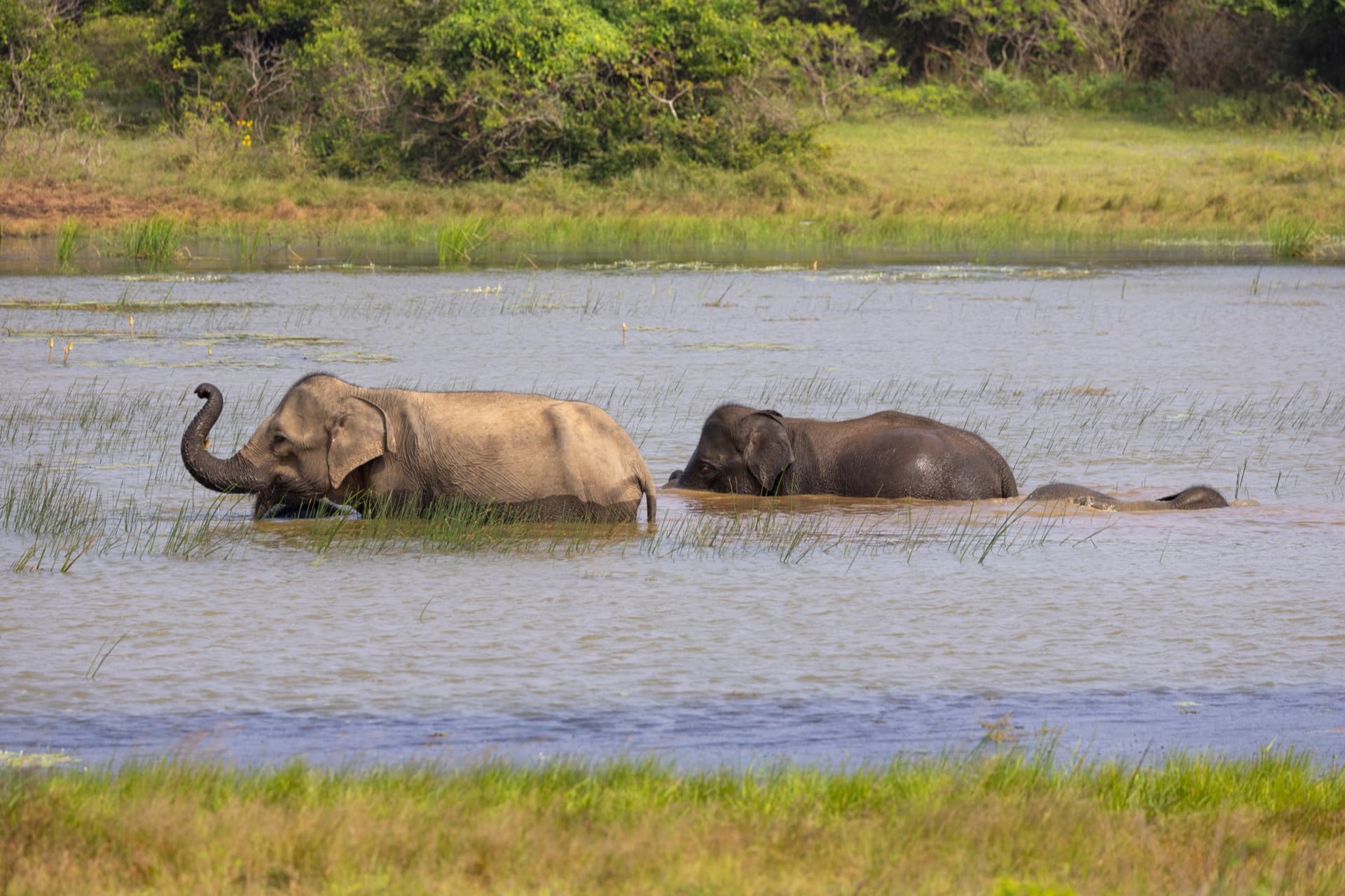 Safari destination: Tanzania