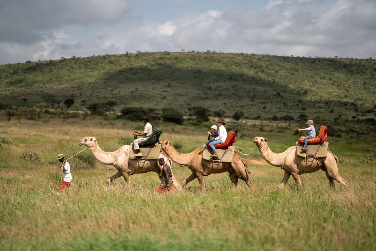 Grand Family Safari & Indian Ocean Escape