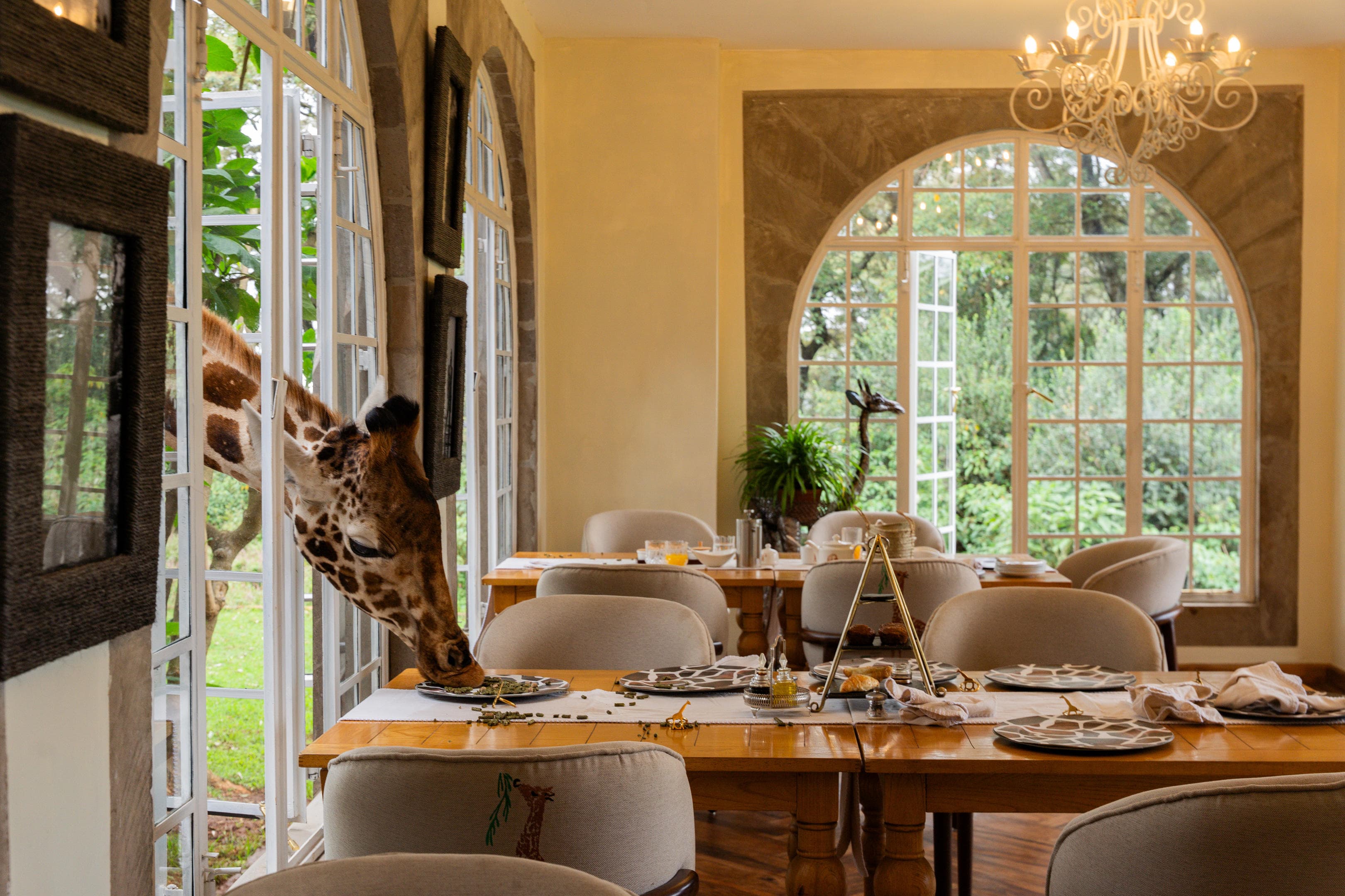 The Royal Circuit of Kenya's Iconic Wilderness