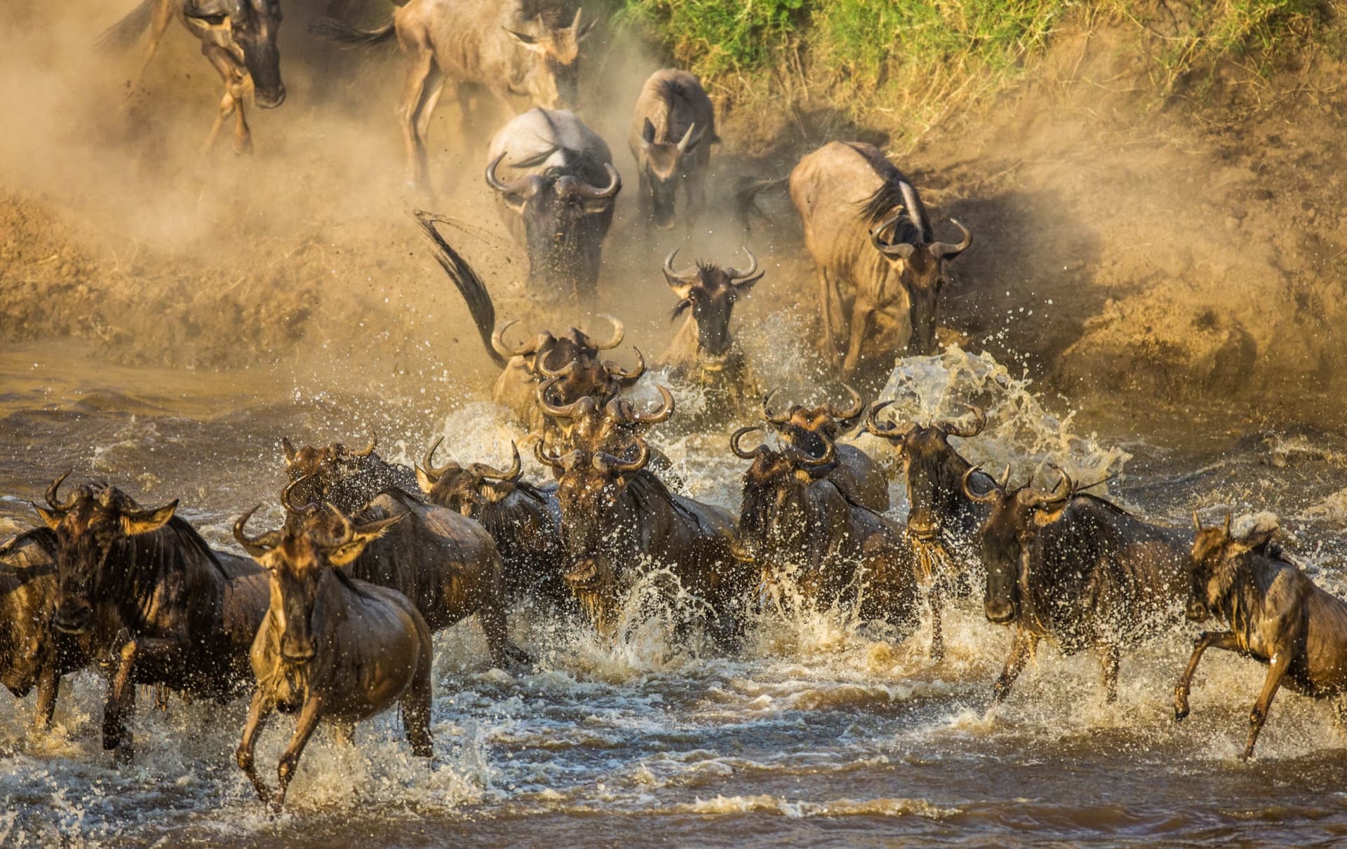 How to Plan a Luxury Safari in East Africa